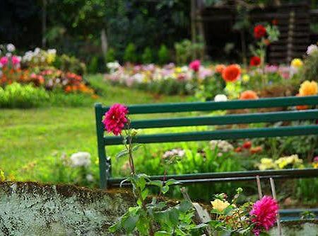 Oak Field Resort Munnar Esterno foto
