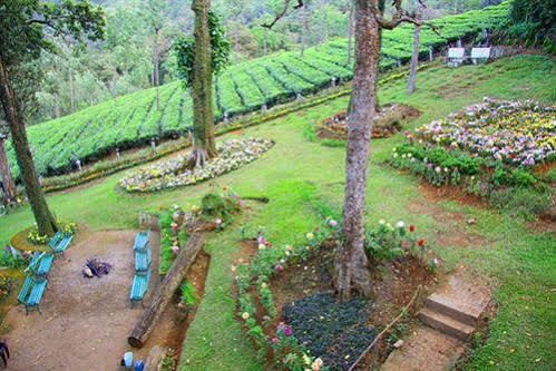Oak Field Resort Munnar Esterno foto