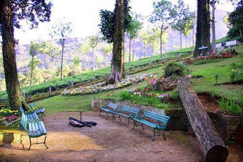 Oak Field Resort Munnar Esterno foto