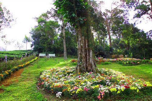 Oak Field Resort Munnar Esterno foto